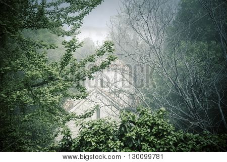 Landscape with ancient monastery in the woods.