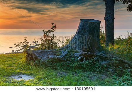 Sunset at a beach of the Baltic Sea in nature reserve of Vidzeme - one of ecologically cleanest regions of Latvia