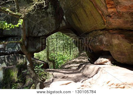 Way in the Schwarzach Canon near Nuremberg in Bavaria Germany.