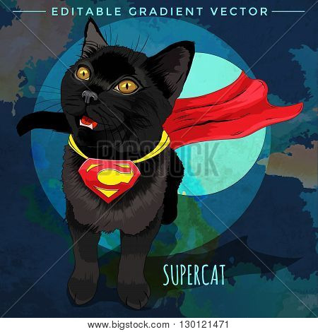 SuperCat. Vector illustration of a cat at home.