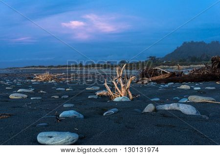 Driftwood on black volcanic sand on sunset. Unusual surreal landscape of beach. New Zealand. Copy space selective focus