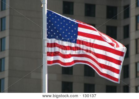 Amerikanske Flag