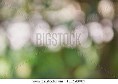White Bokeh On Green Nature Abstract Background