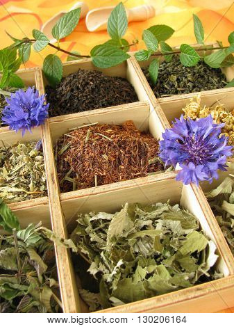 Wooden tea box with loose tea types