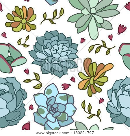 Succulent flower isolated hand drawn vector illustration