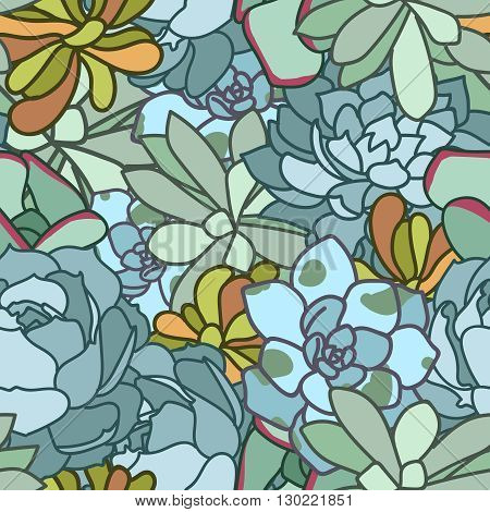 Succulent flower isolated hand drawn vector illustration