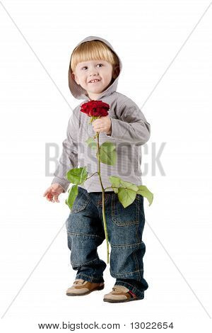 Ragazzo bello piccolo con rosa rossa