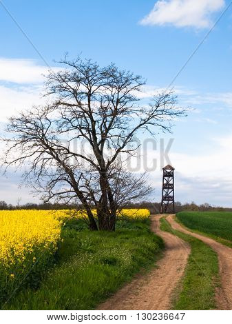 Dirt road to the lookout tower in rural landscape