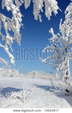 paesaggio invernale