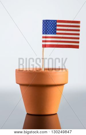 Plant Pot With American Flag