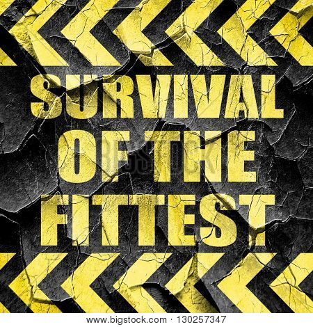 survival of the fittest, black and yellow rough hazard stripes