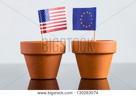 Plant Pot With European And Usa Flag