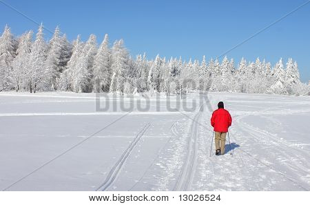 paesaggio invernale
