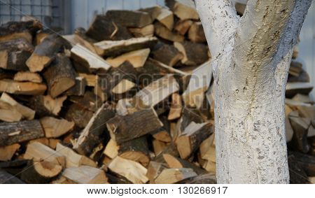 Chopped wood in stack texture background stock photo