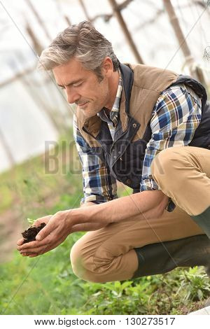 Farmer using loam to plant new seeds