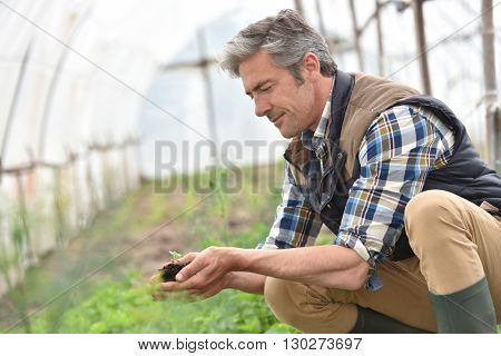 Farmer using loam to plant new seeds
