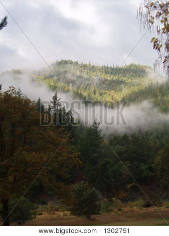 Niebla de montaña