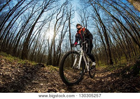 Rider in action at Freestyle Mountain Bike Session. Cyclist traveling in the Forest