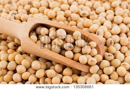 Closeup soy beans on spoon background. soy beans