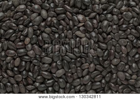 Organic Shikakai (Acacia concinna) seeds. Macro close up background texture. Top view.