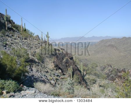 Désert de Phoenix