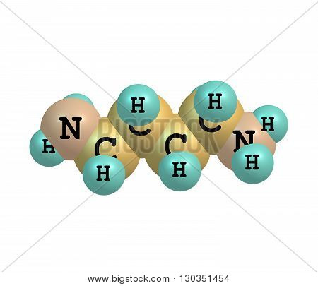 Putrescine - tetramethylenediamine - is a foul-smelling organic chemical compound - butanediamine - that is related to cadaverine. 3d illustration