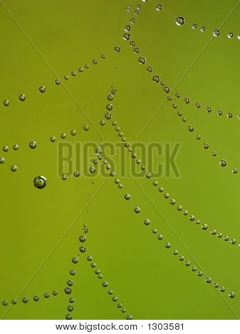 DROPS