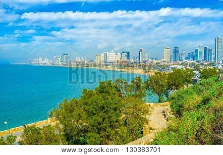 The cityscape of Tel Aviv from the old Jaffa hill and greenery of HaMidron garden Israel.