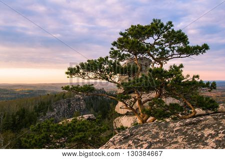 Sunset Over The Spring Forest