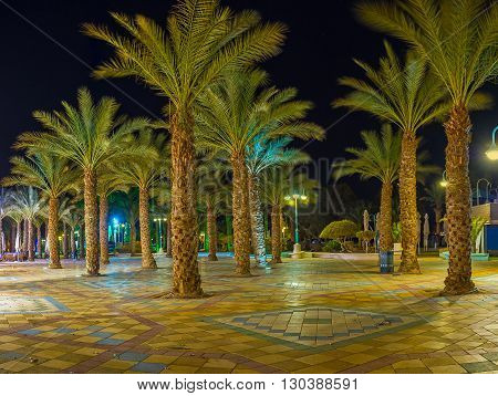 The night palm garden in central promenade of Eilat Israel.