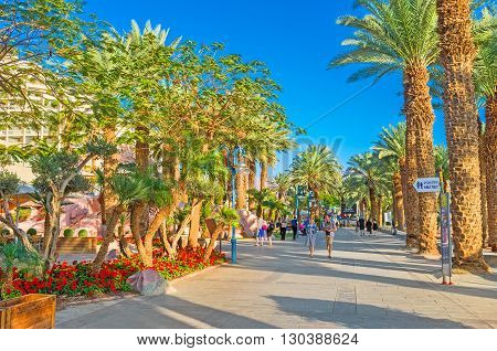 EILAT ISRAEL - FEBRUARY 23 2016: The city promenade adjacent to the lush gardens with palms and bright flowers on February 23 in Eilat.
