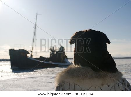 spedizione al Polo Nord