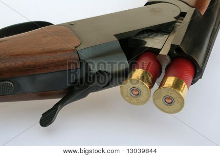 Shotgun-serien