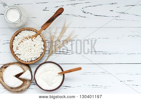 Soft homemade fresh ricotta cottage cheese made from milk draining on muslin cloth. Tzfat cheese with wheat grains. Symbols of judaic holiday Shavuot.