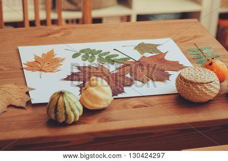 preparations for autumn craft with kids. Herbarium from dried leaves. Learning children at home fall nature collage.