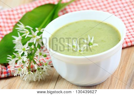 Wild  bear garlic soup,  bear allium flower on top