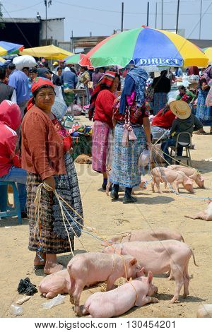 QUETZALTENANGO GUATEMALA APRIL 28 2016 : People sale pigs in Quetzaltenango maket. This native market is the most colorful in Central America
