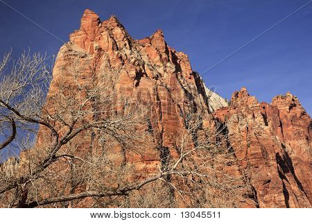 Red Rock Cliff Court Of Patricarchs Zion Canyon National Park, Utah