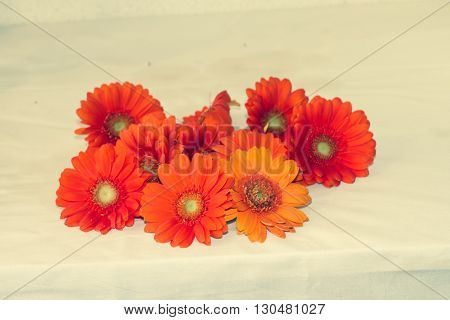 orange gerbera on table . . .