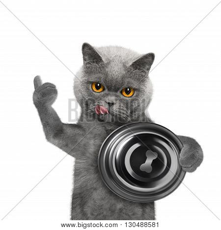 Cat finished eating and was very tasty -- isolated on white