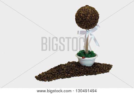 coffee tree on a white background and spilling grain