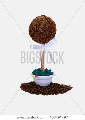 coffee tree on a white background and spilling grain