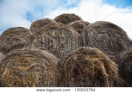 Straw haystacks piled together on each other