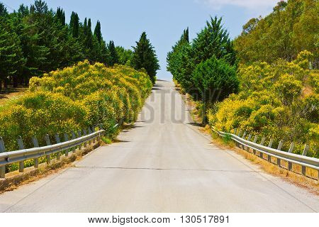 Stright Asphalt Road between Hills Covered with Bushes in Sicily