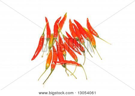 Suché červené Chili