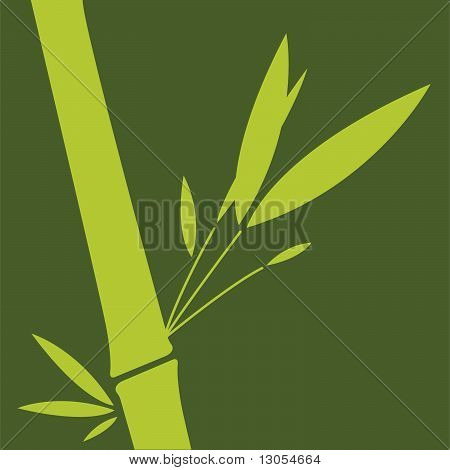 Bambù