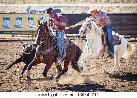 Wickenburg, USA - February 5, 2013: Riders compete in a team roping competition in Wickenburg, Arizona, USA