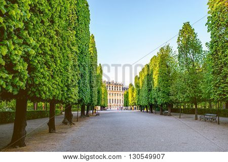 VIENNA, AUSTRIA - CIRCA APRIL 2016: Beautiful alley in Schonbrunn gardens in Vienna. Schonbrunn gardens are one of the most important architectural and historical places in Austria