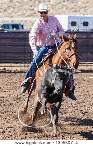 Wickenburg, USA - February 5, 2013: Riders compete in a team roping competition in Wickenburg, Arizona, USA