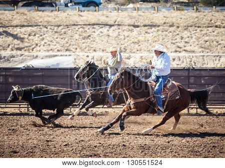 Wickenburg, USA - February 5, 2013: Riders compete in a team roping competition in Wickenburg, Arizona, USA